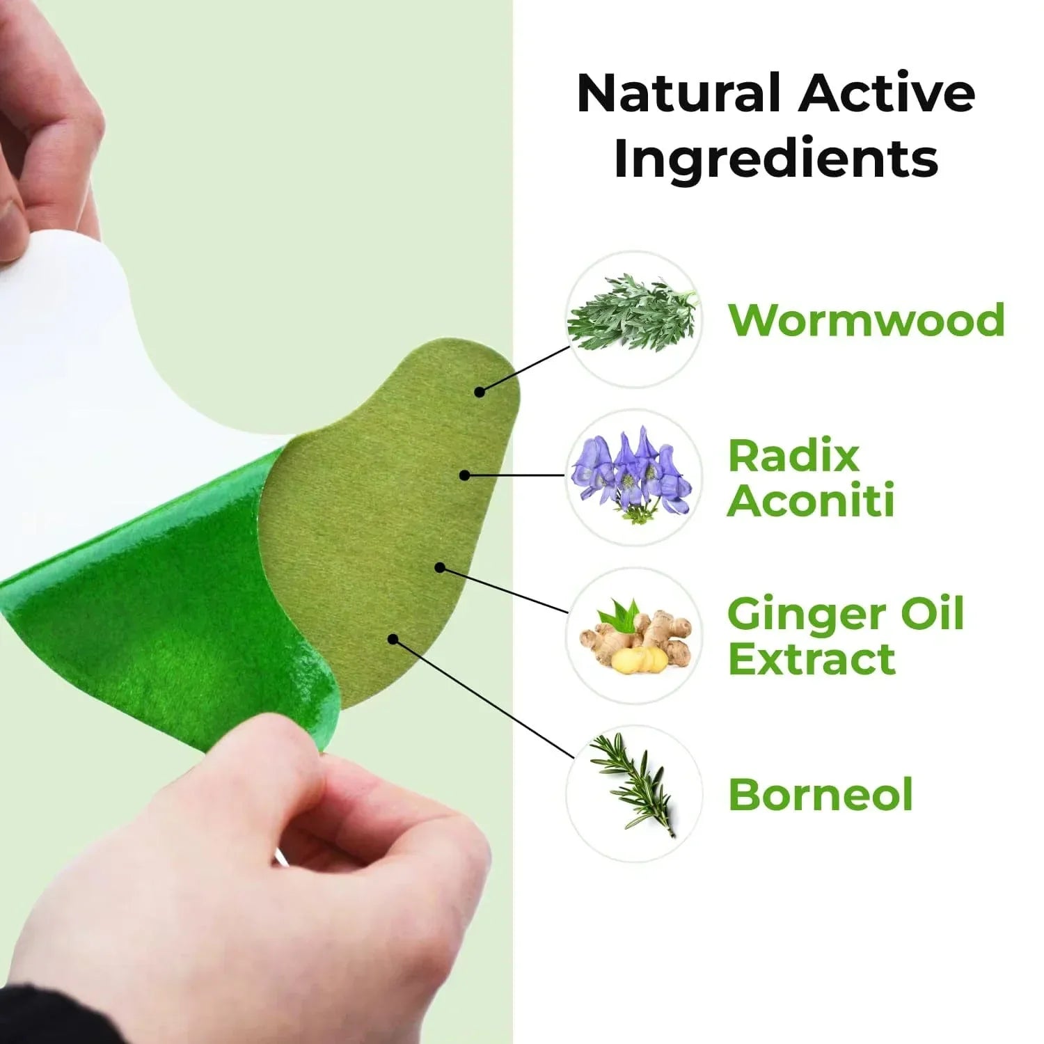 Herbal KneeRelief Pain Patch – Pack of 10 at Rs 499/-